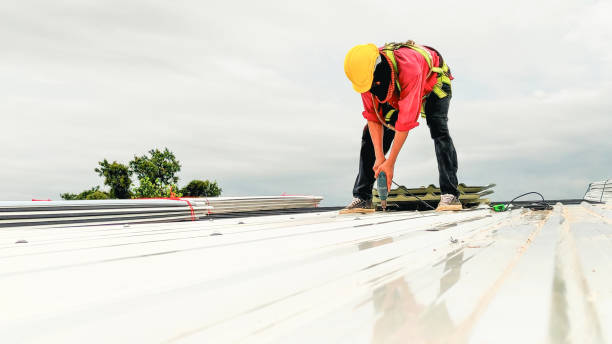 Best Roof Moss and Algae Removal  in Three Oaks, MI