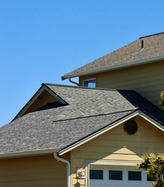 Best Asphalt Shingle Roofing  in Three Oaks, MI